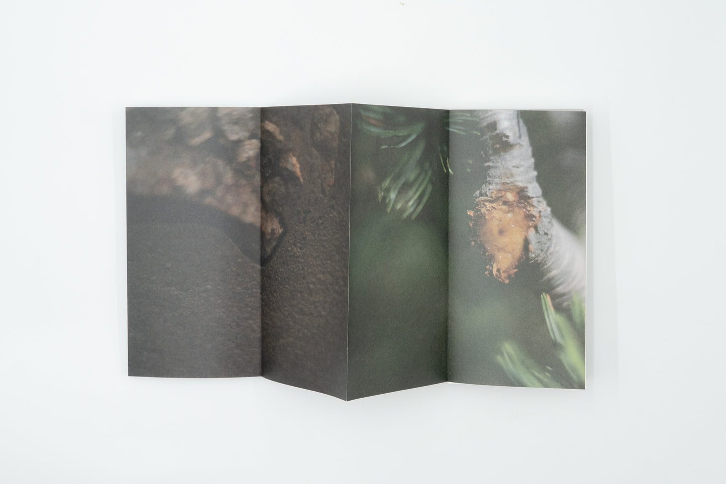 Kumonodaira Plateau｜Mew Imashuku (signed)