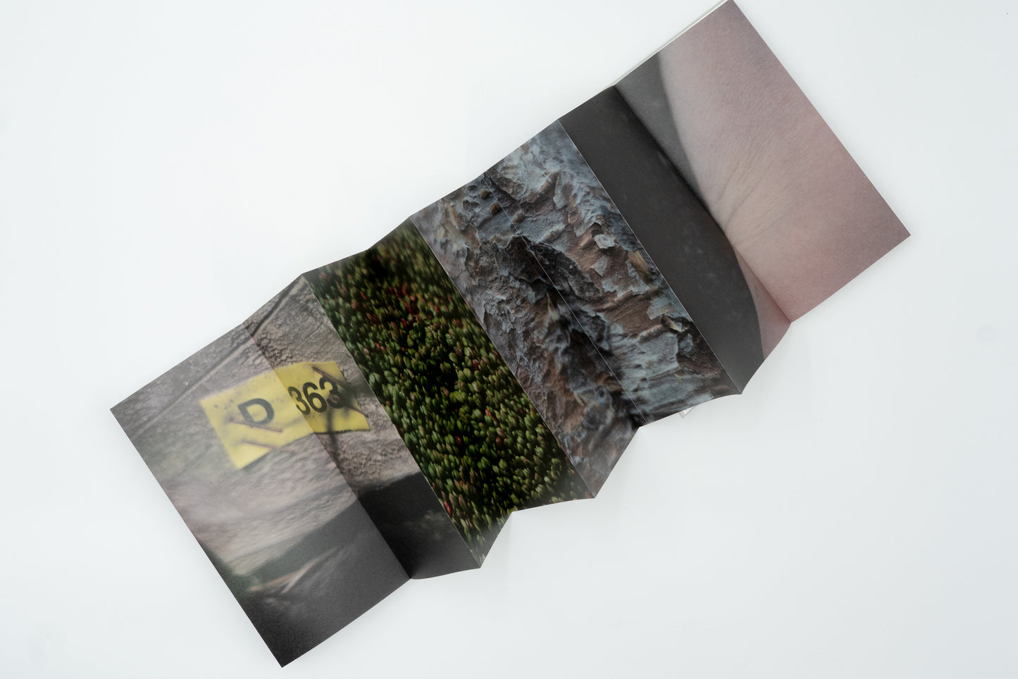 Kumonodaira Plateau｜Mew Imashuku (signed)
