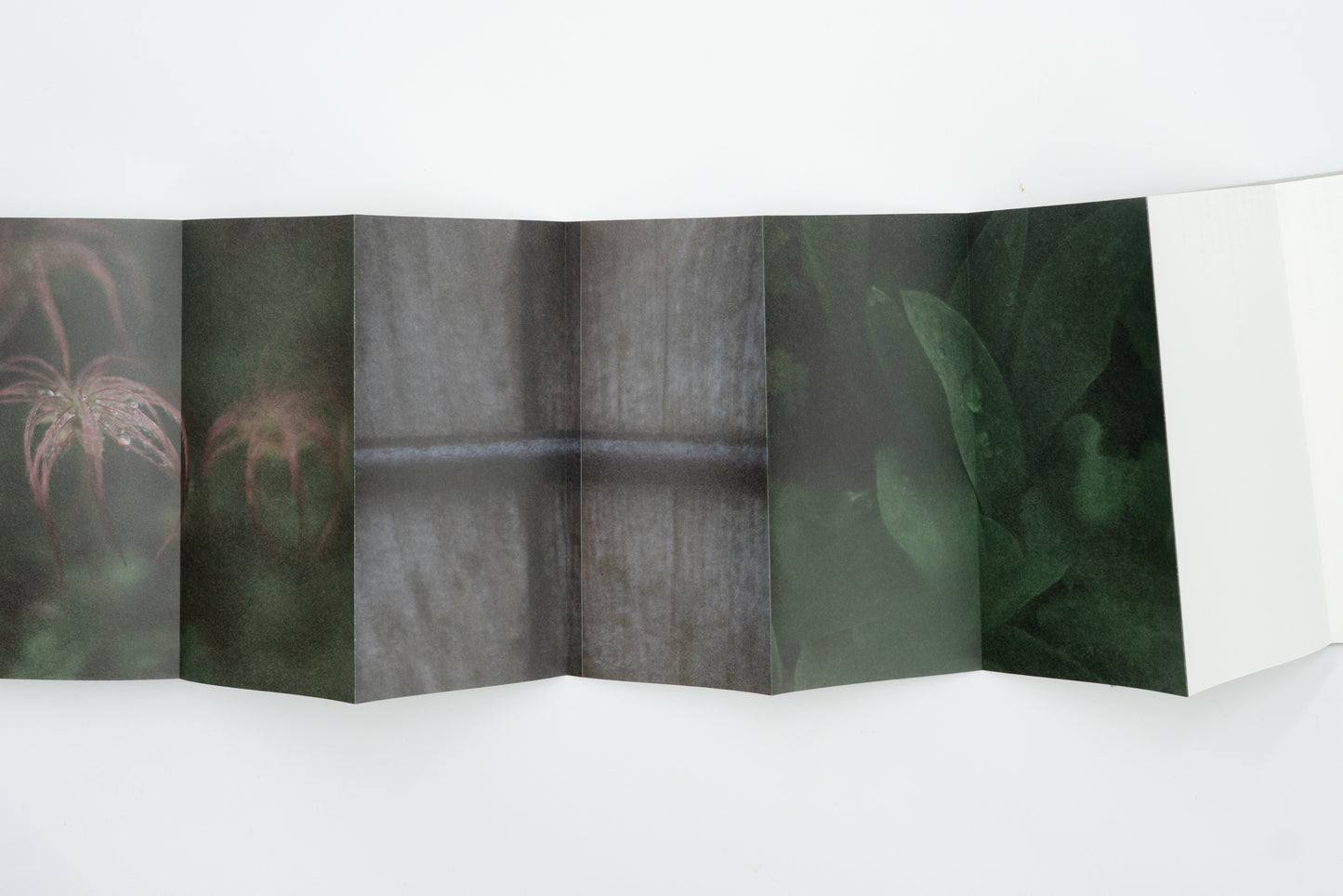 Kumonodaira Plateau｜Mew Imashuku (signed)