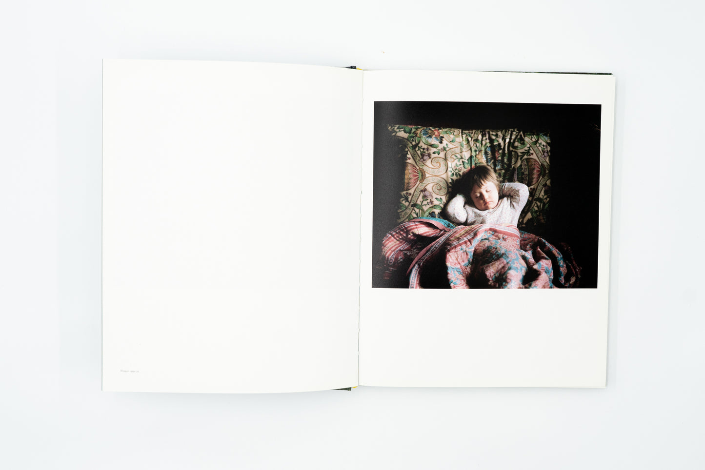 Looking For Alice｜Sian Davey