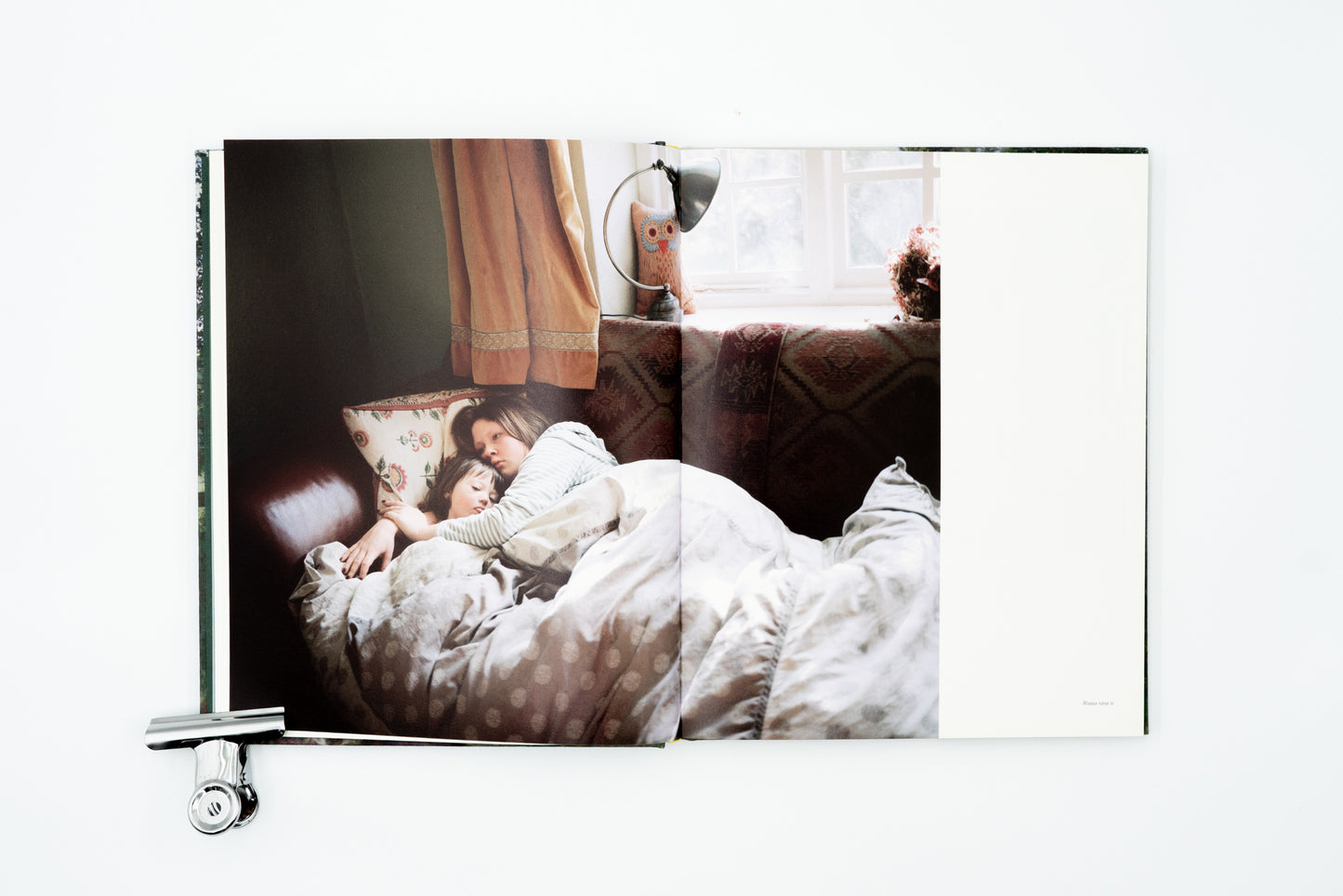 Looking For Alice｜Sian Davey