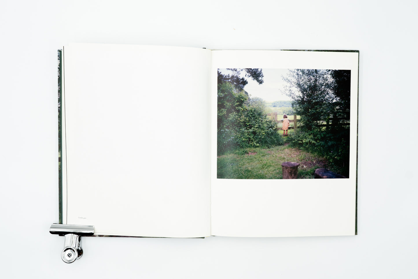 Looking For Alice｜Sian Davey