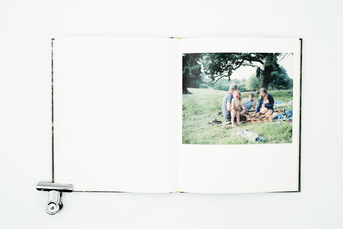 Looking For Alice｜Sian Davey