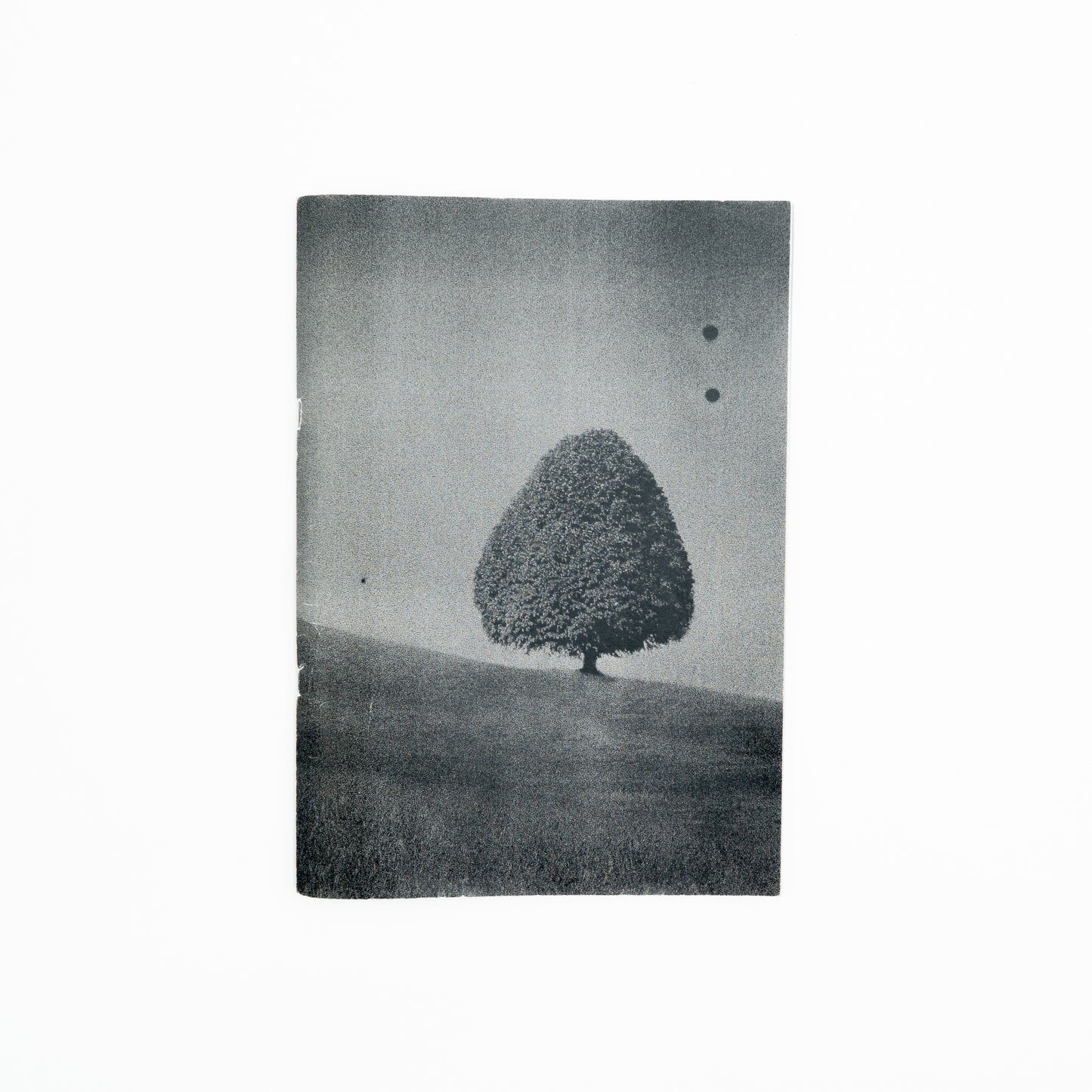 SITE (second edition) ｜横田大輔