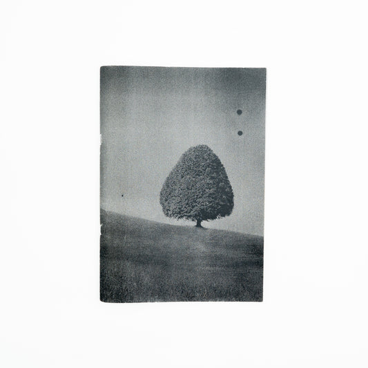 SITE (second edition) ｜横田大輔