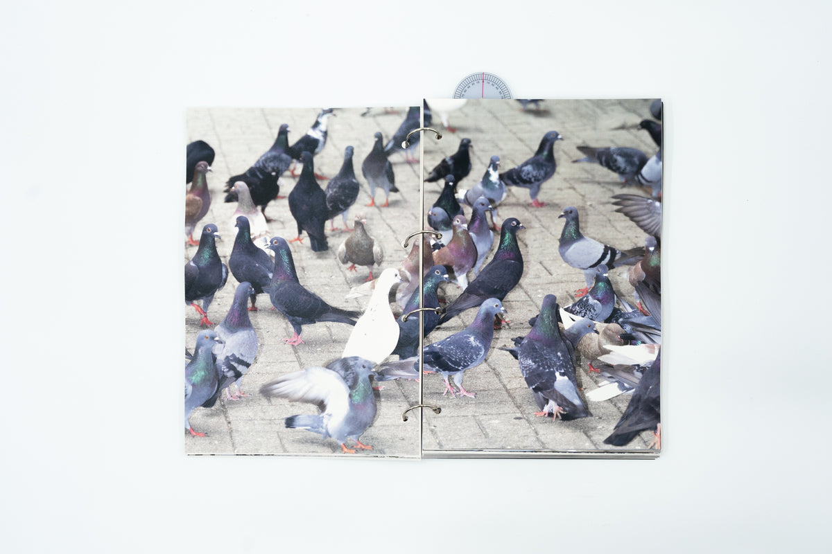 The Unclean Project 不潔工程｜Fion C. Y. Hung 洪澄欣