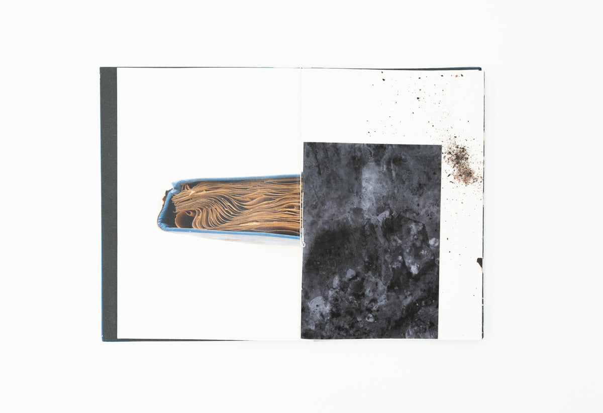 The Restoration Will｜Mayumi Suzuki (Original Hand-made Edition, signed)