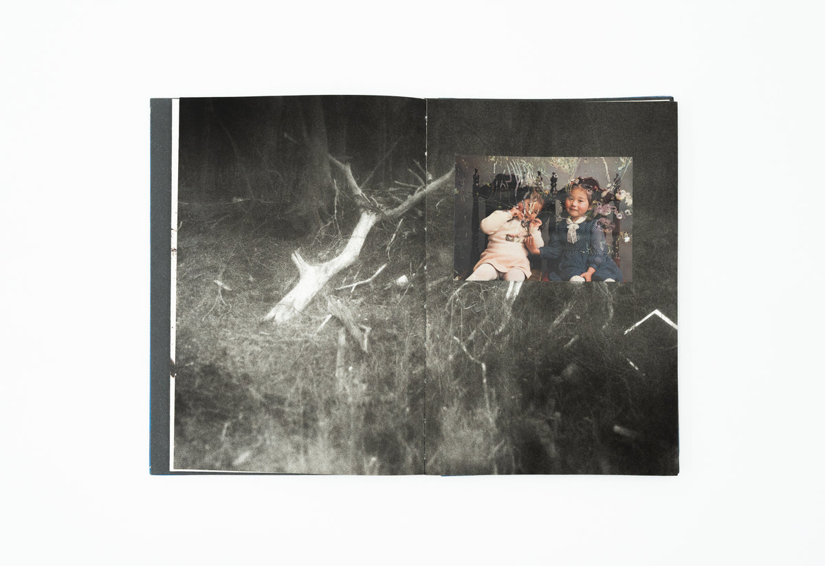 The Restoration Will｜Mayumi Suzuki (Original Hand-made Edition, signed)