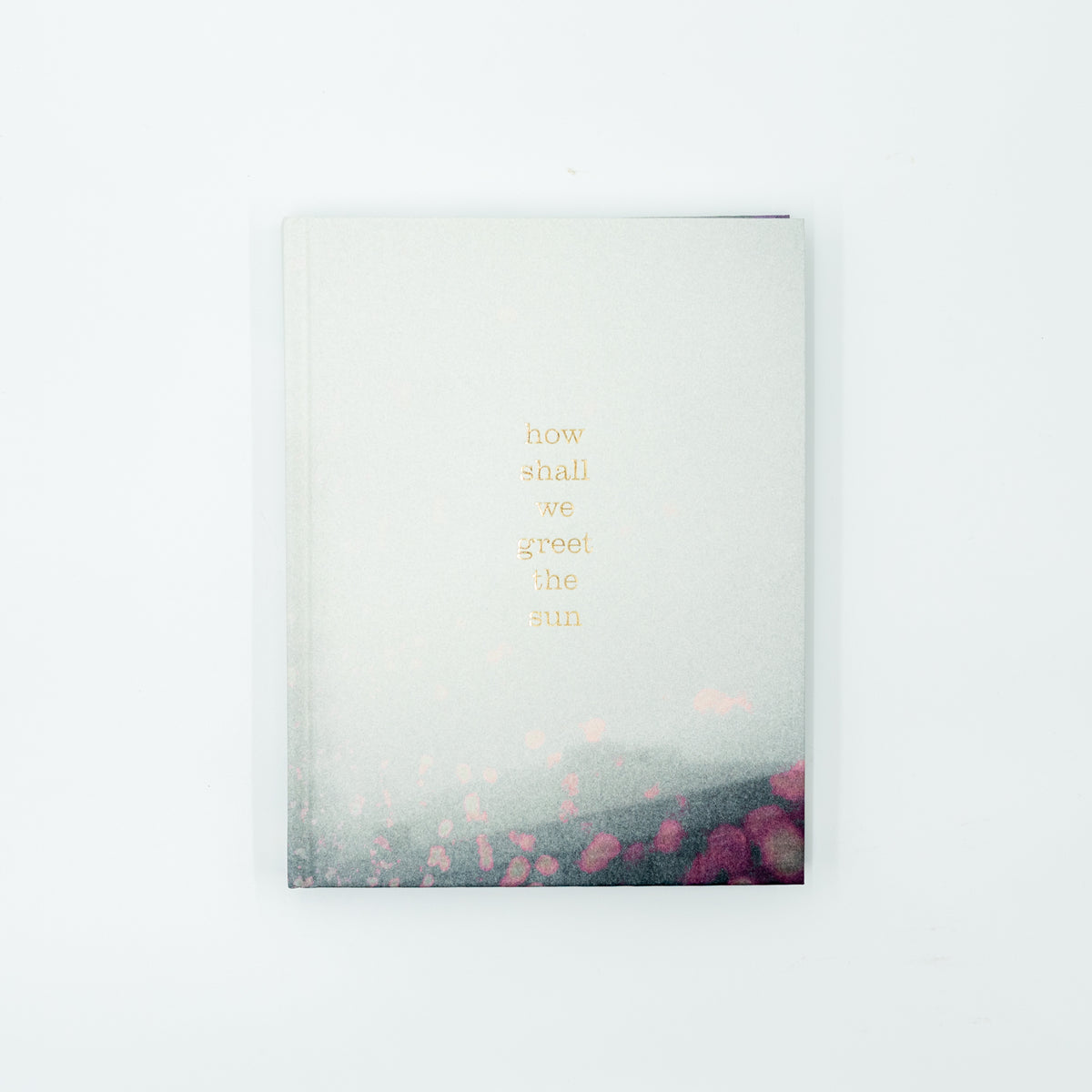 How shall we greet the sun｜Thana Faroq