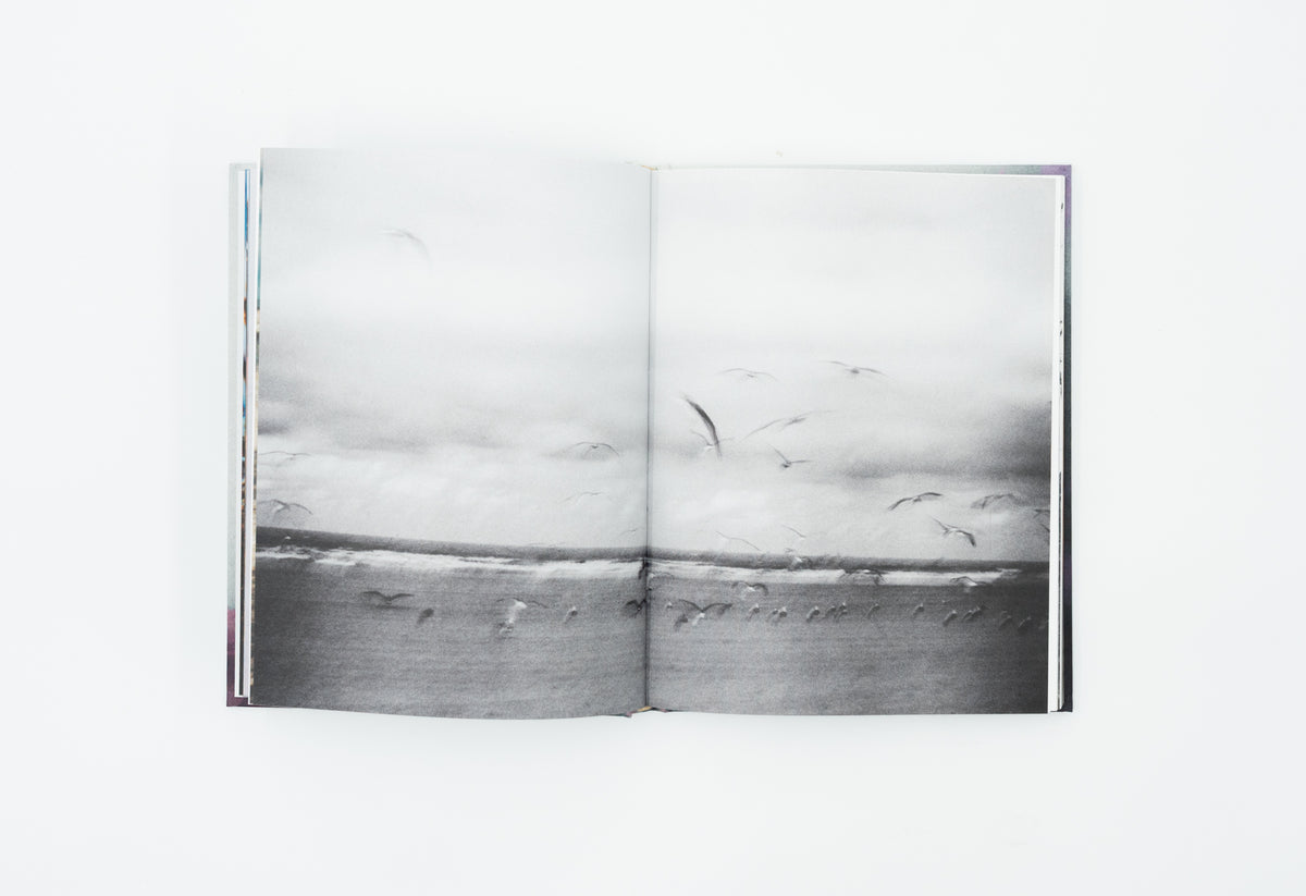 How shall we greet the sun｜Thana Faroq