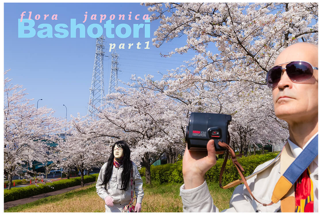 flora japonica (２枚セット)｜カンケ・ブルノ